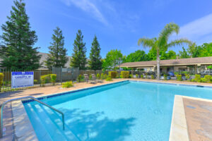 Exterior Community Pool, 2 chaise lounge chairs, palm tree planted in pool area, gated pool.